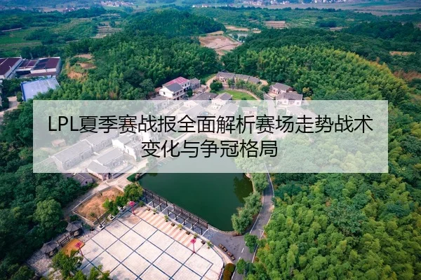 LPL夏季赛战报全面解析赛场走势战术变化与争冠格局