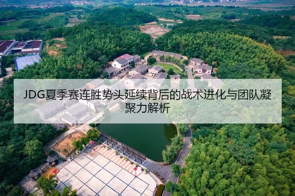 JDG夏季赛连胜势头延续背后的战术进化与团队凝聚力解析