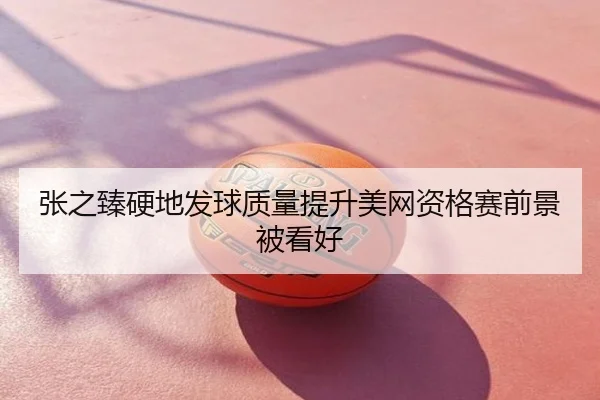 张之臻硬地发球质量提升美网资格赛前景被看好