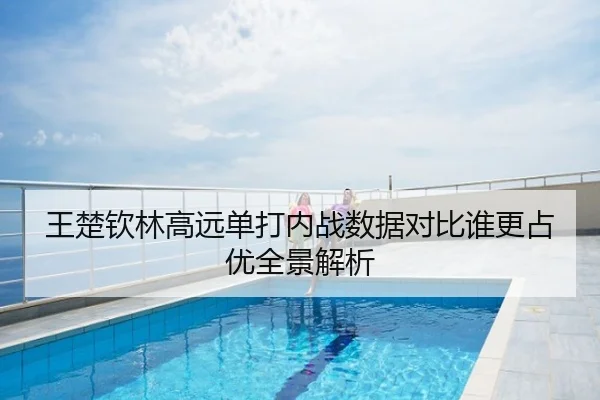 王楚钦林高远单打内战数据对比谁更占优全景解析